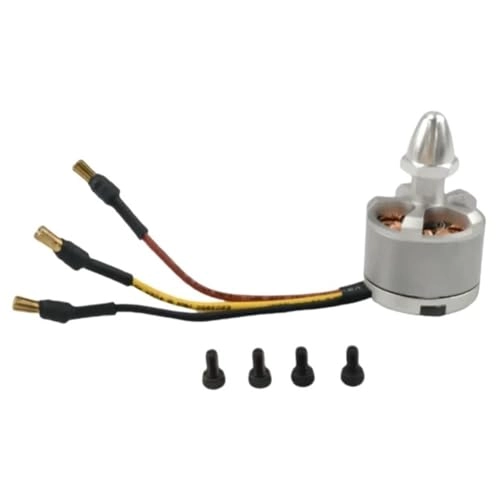 Brushless CW CCW Motor
