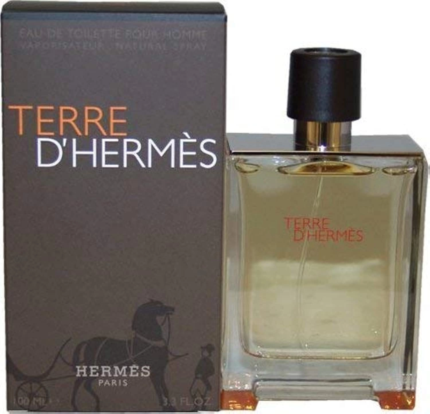Terre D' Hermes Eau de Toilette 100ml