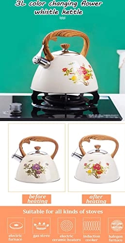 Stovetop Induction Whistling Kettle - 5L