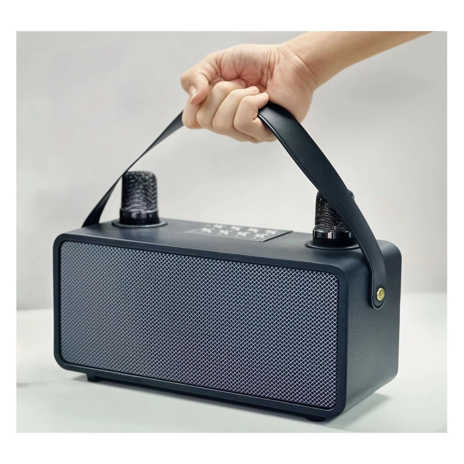 PulZ Mini Karaoke System - 2 Microphones