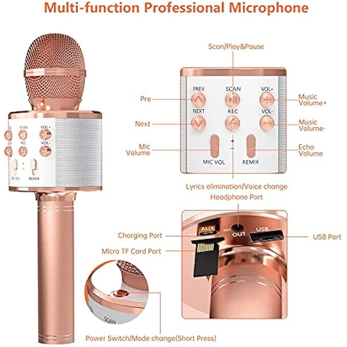 rayihni Karaoke Microphone Pack
