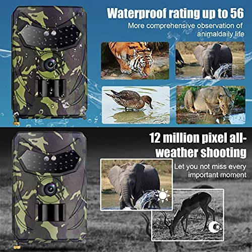 HD Hunting Camera - 12MP