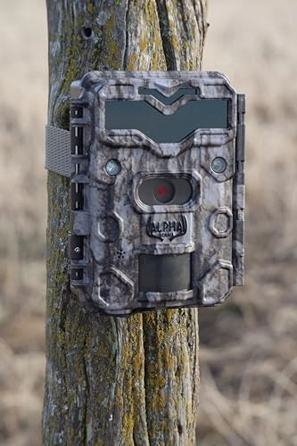 Premium Hunting Trail Camera - 30 megapixel