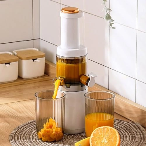 Fruit and Vegetable Juicer - 120W 625ml