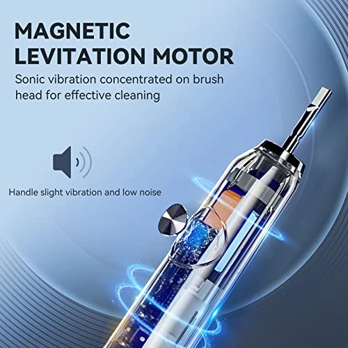 P200 - 6 Brush Heads Travel Case 60 Days