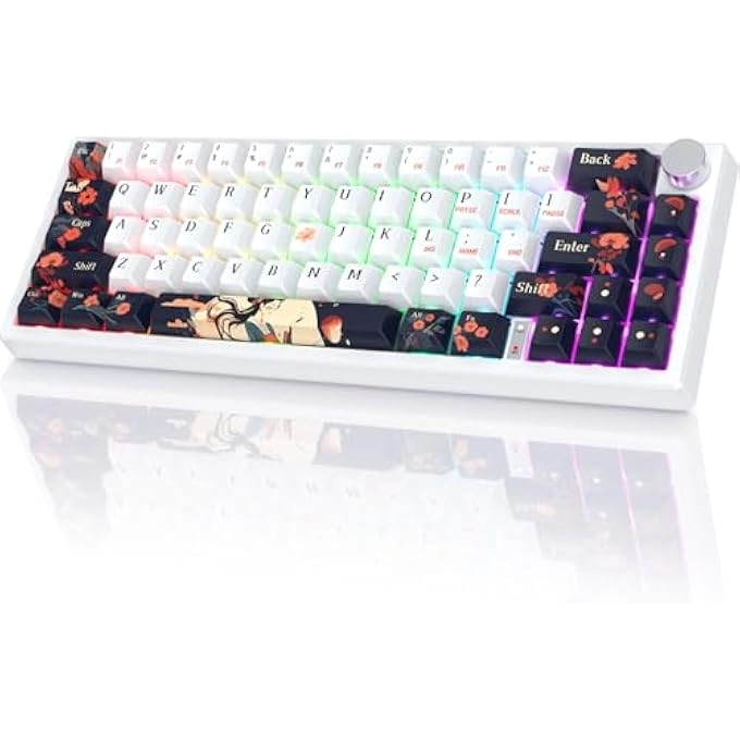 rayihni PC425 - Wireless