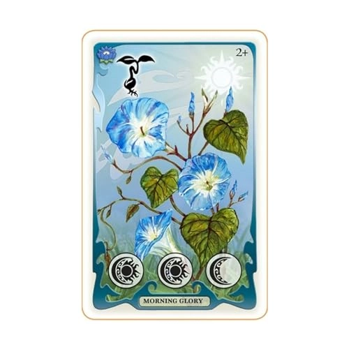 Dance of The Fireflies