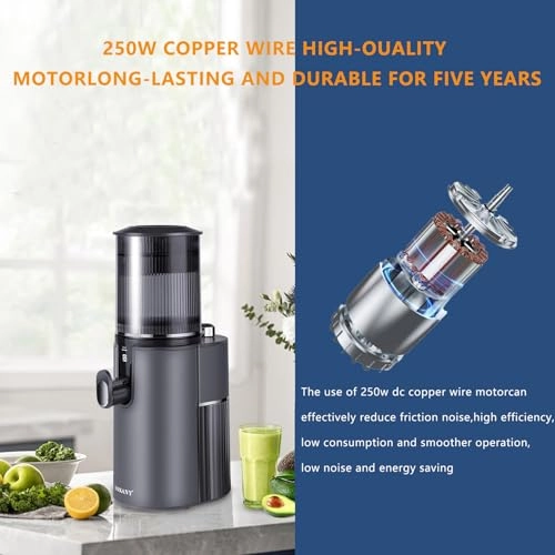 Masticating Juicer - 350W