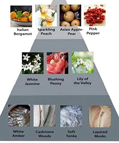 360 Coral Eau de Parfum - 200 ml