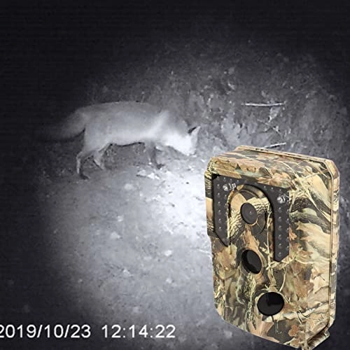 Trail Camera - 16MF