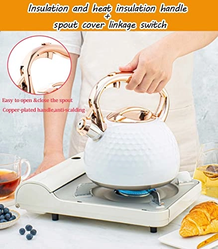 Whistling Kettle - 2.8L