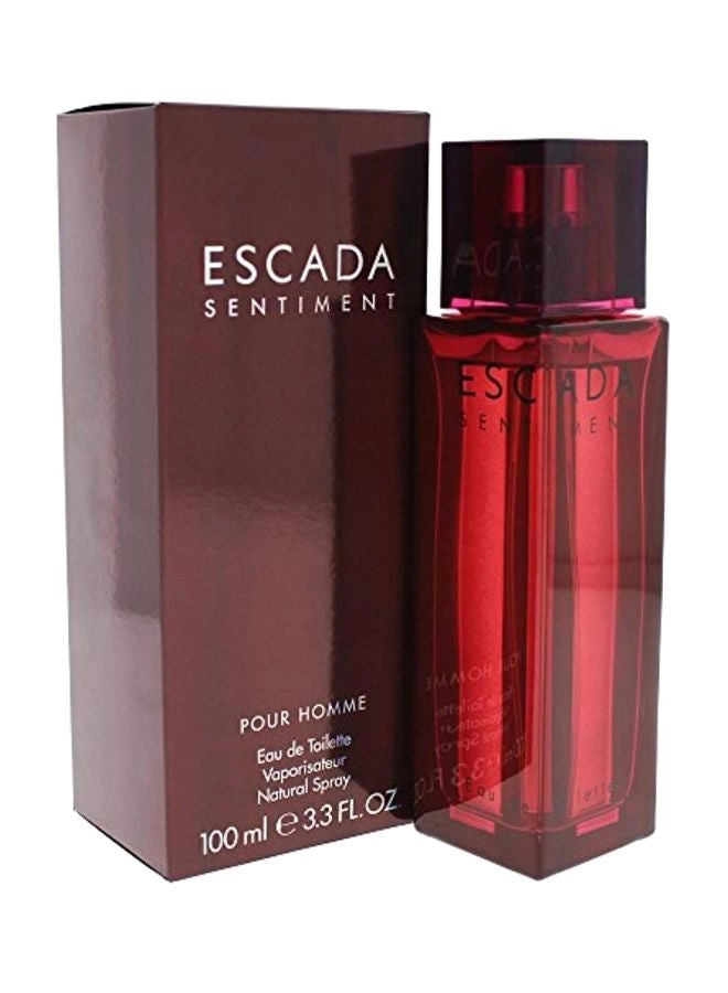 Sentiment Eau de Toilette 100ml