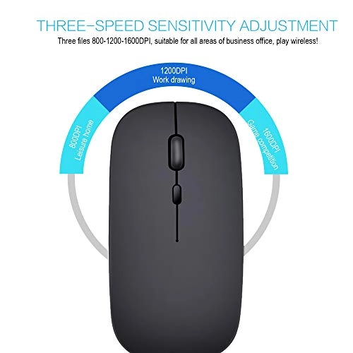 M80 - Radio Frequency