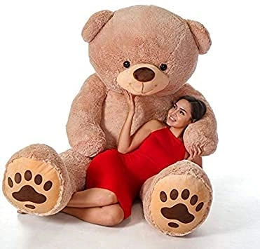 Teddy Bear