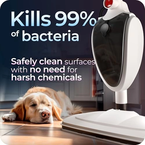 T-5 - 280 Milliliters