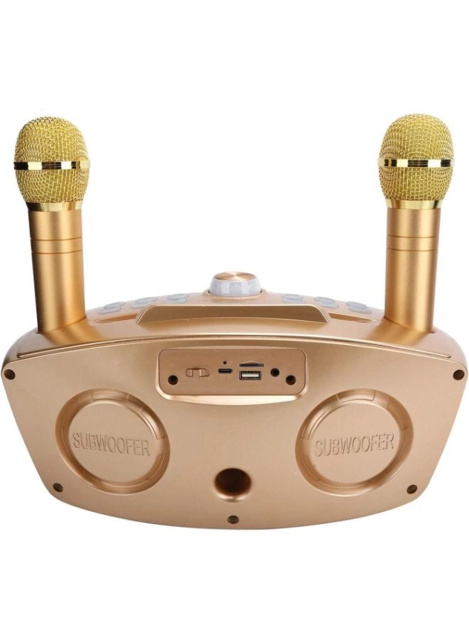 MASP16 - 2 Microphone 15W