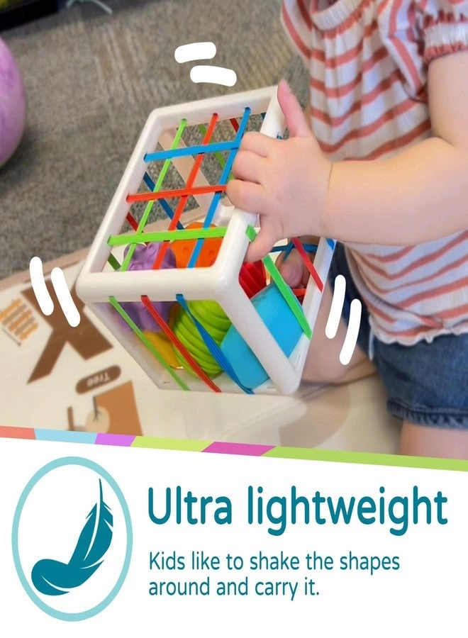 Shape Sorter - 1+ Years Old