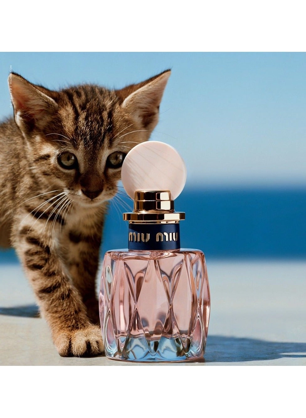 L'Eau Rosee Eau de Toilette 100ml