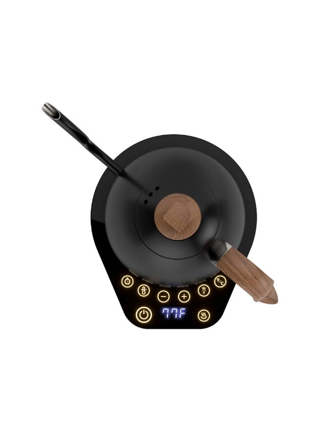 Artisan Electric Kettle