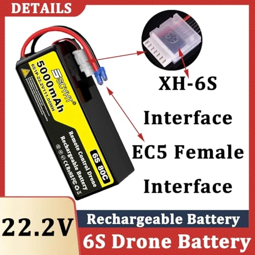Lipo Battery 6S