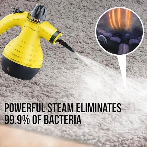 Handheld Steam Cleaner - 350 Milliliters