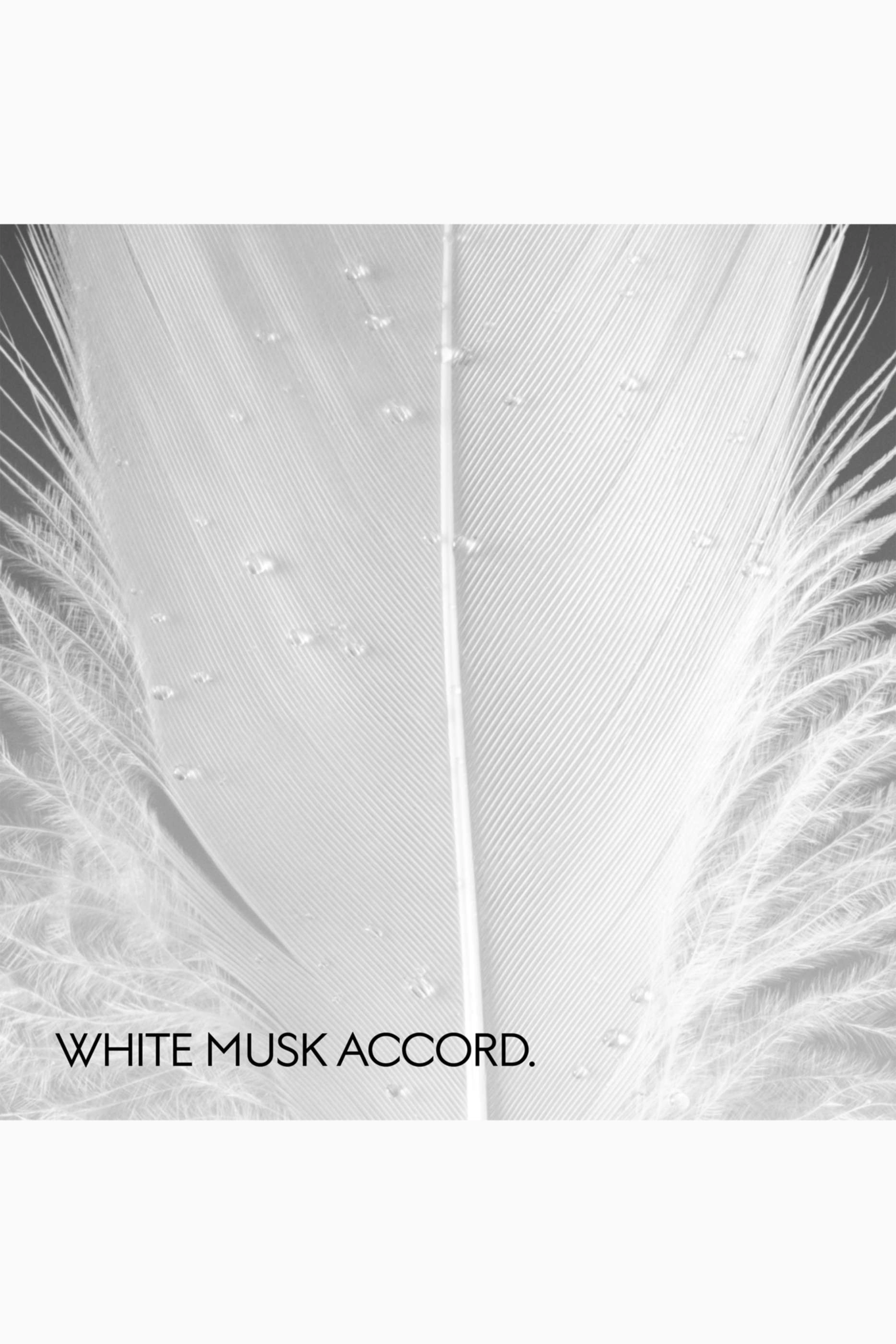 Muschio di Luce Eau de Parfum 50ml