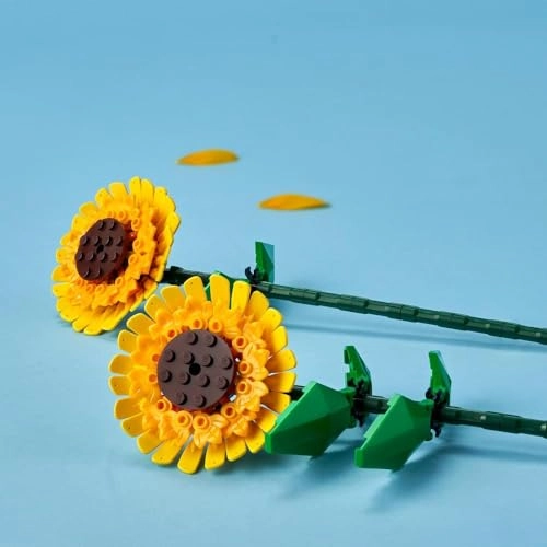 Sunflowers (40524)