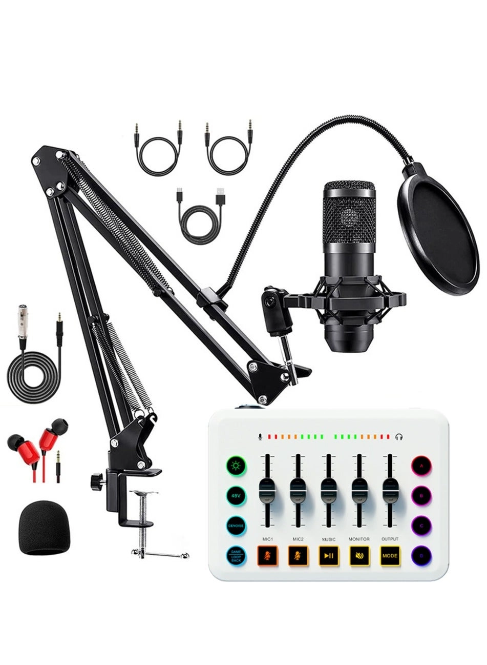 BM800 + F9 USB+Wireless+XLR+3.5mm-Mini-Jack Microphone Bundle