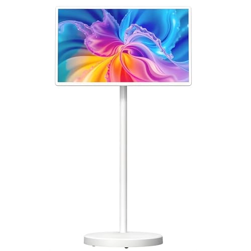 Portable Touch TV - FHD 21.5 inch