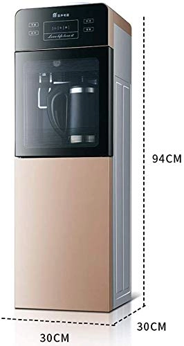 Hot Water Dispenser Electric Kettle