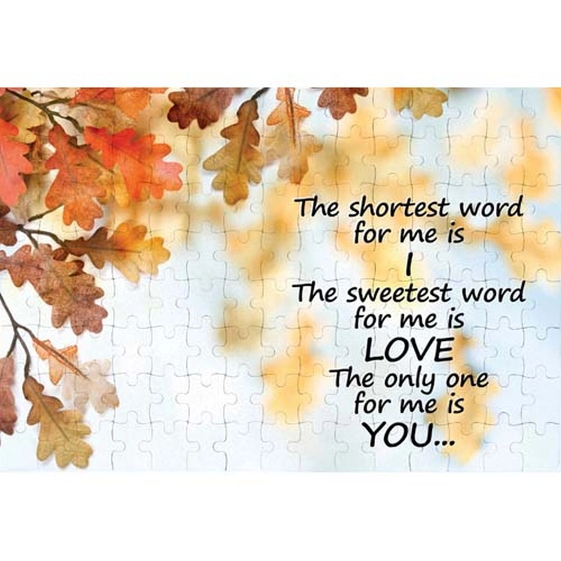 Ajooba Dubai Love Puzzle (2204)