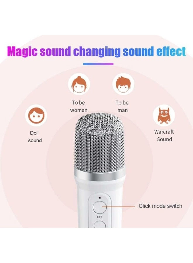 Portable Bluetooth Speaker PA System - 2 Wireless Microphones