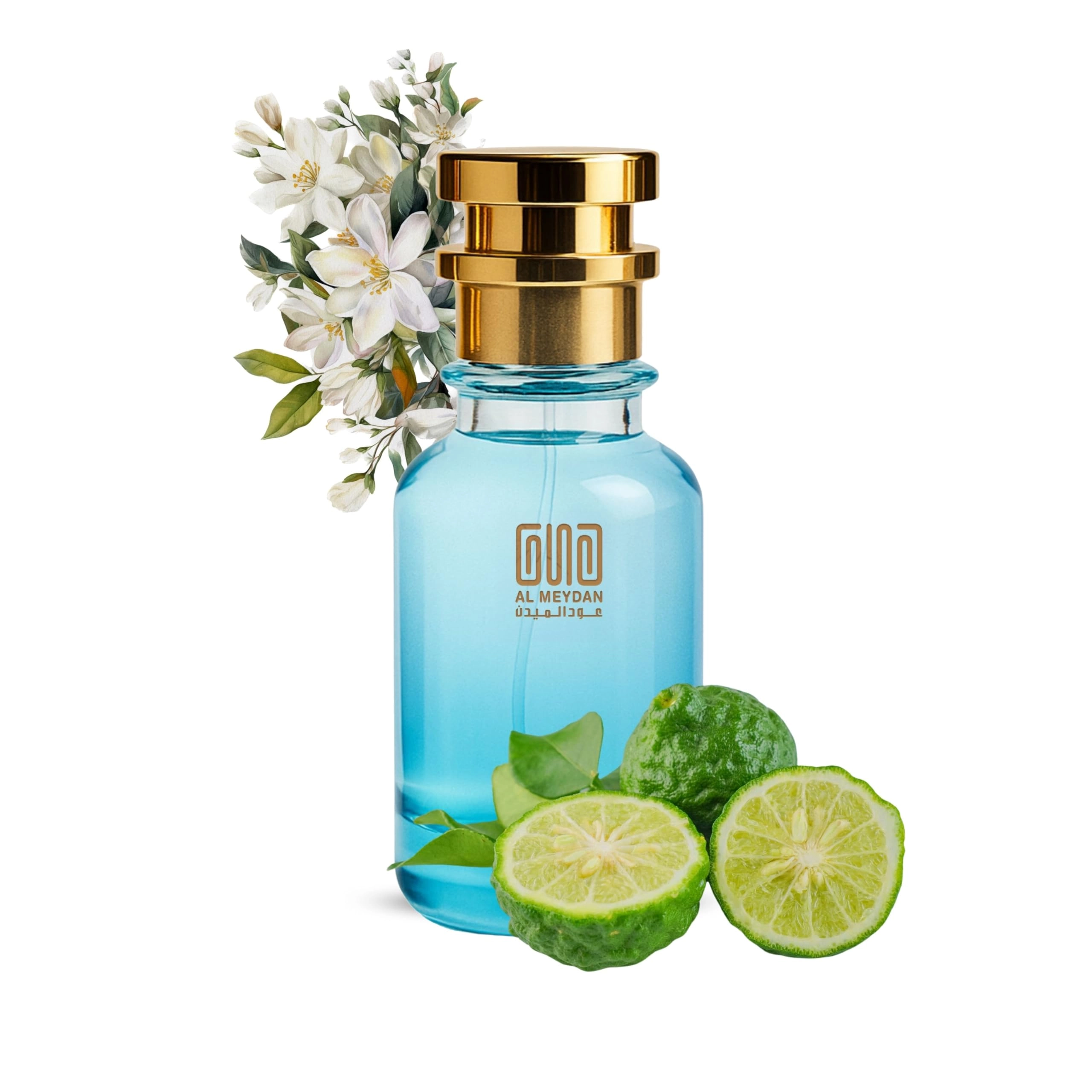 Oud Al Meydan Pegasus Eau de Parfum 50ml