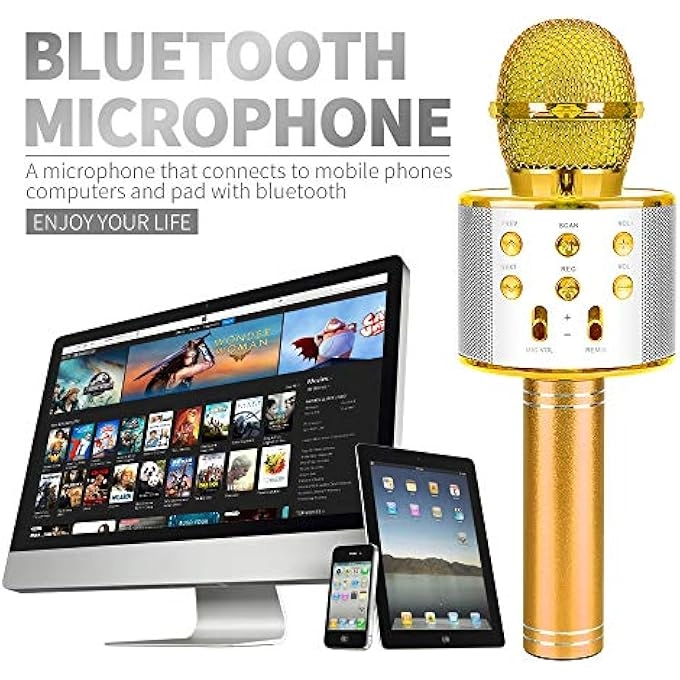 WIRELESS MICROPHONE - 4-12 years+