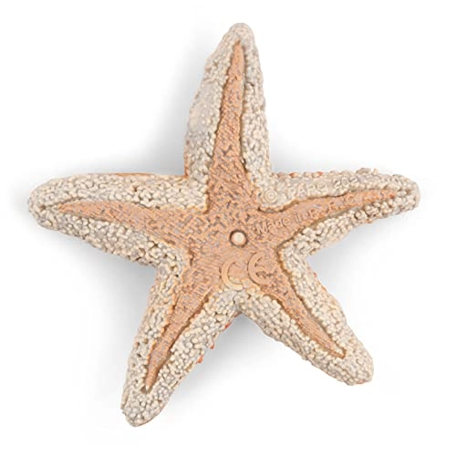Starfish - 3 years and up 1 pieces