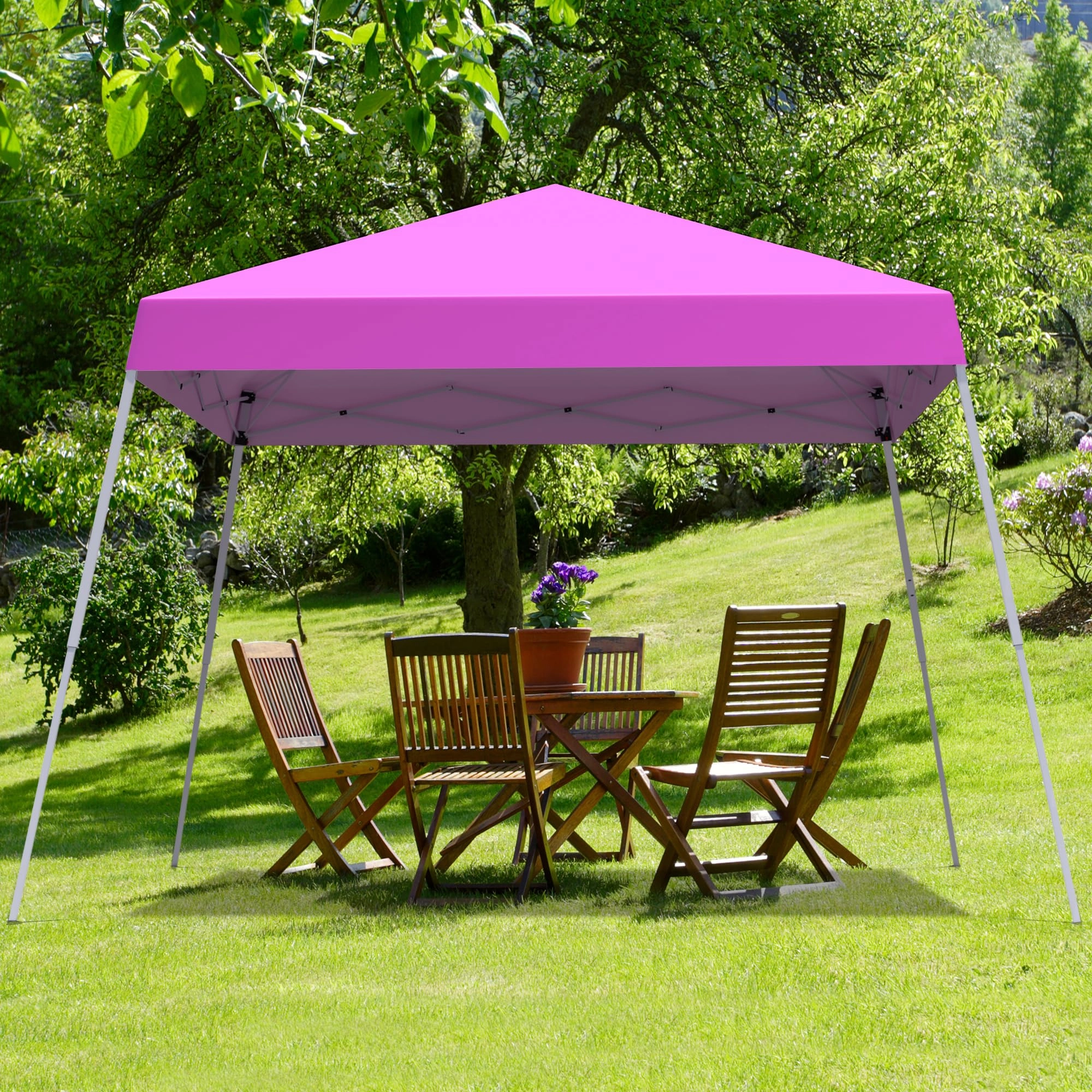 Canopy Tent - 10x10 ft