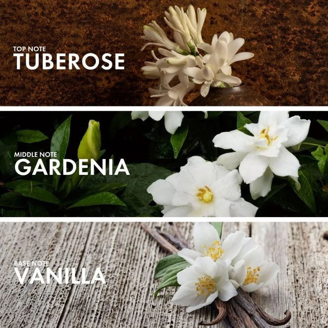Gardenia Vanilla Eau de Parfum 50ml