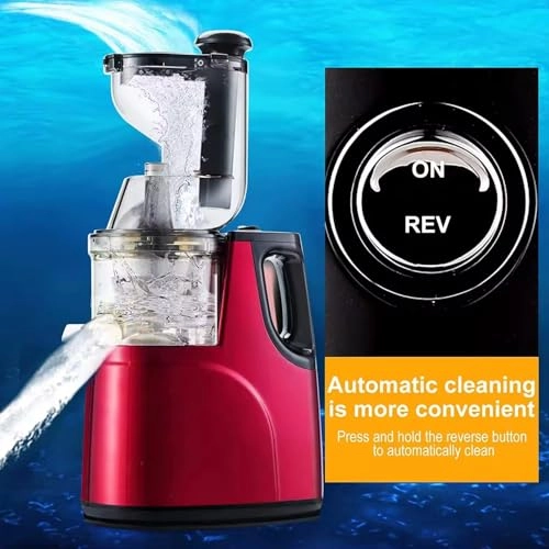 Fruit and vegetable juicer - 500W