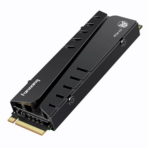 fanxiang S770 - 500GB M.2