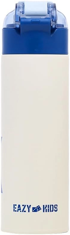 Insulated Stainless Steel Travel Water Bottle - 550ml