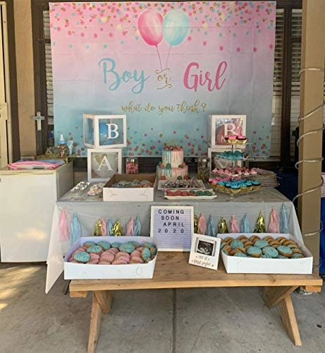 Gender Reveal Decoration - 7x5ft Vinyl Blue or Pink Dots