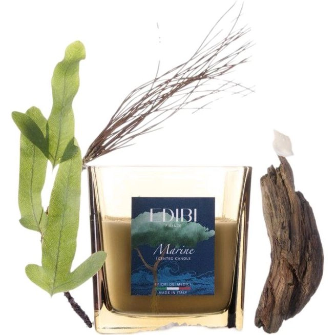 EDIBI FIRENZE Marine