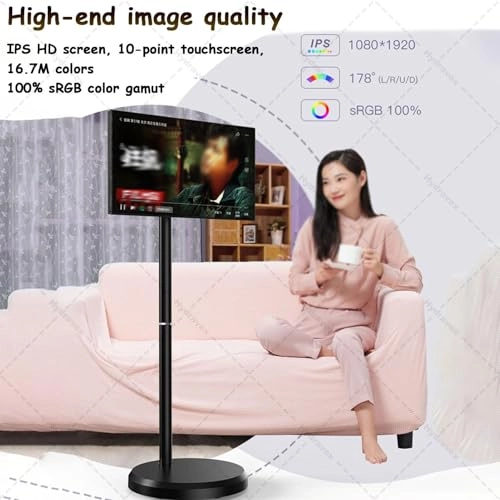 Portable TV Monitor - 1080p 21.5-Inch