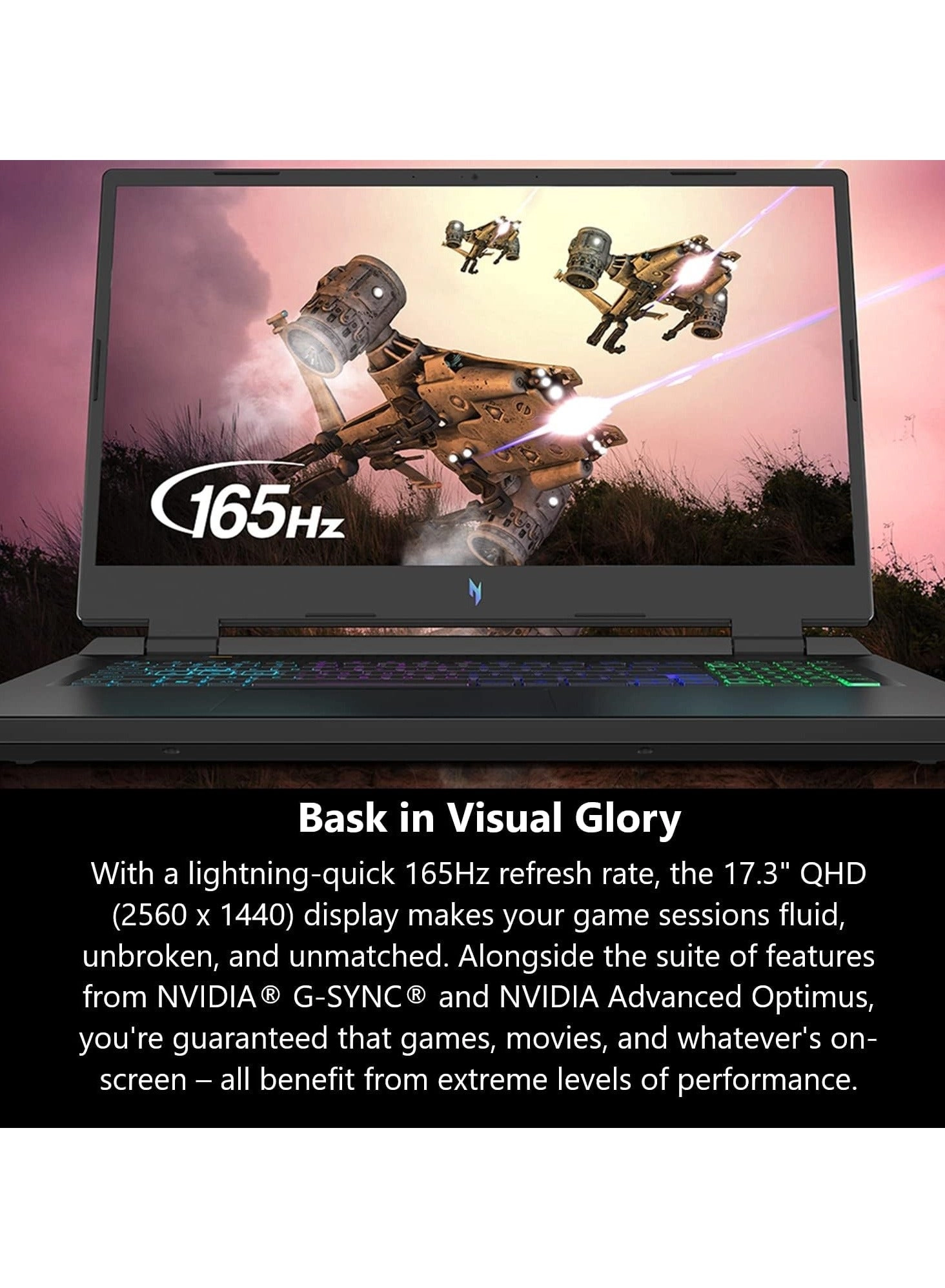 Nitro 17 - 17.3'' Ryzen 7-7840HS 16GB DDR5 1000GB SSD