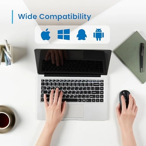 EW3241 Mouse - Wireless