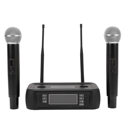 Professional Noise Reduction Handheld Microphone System USB Microphone