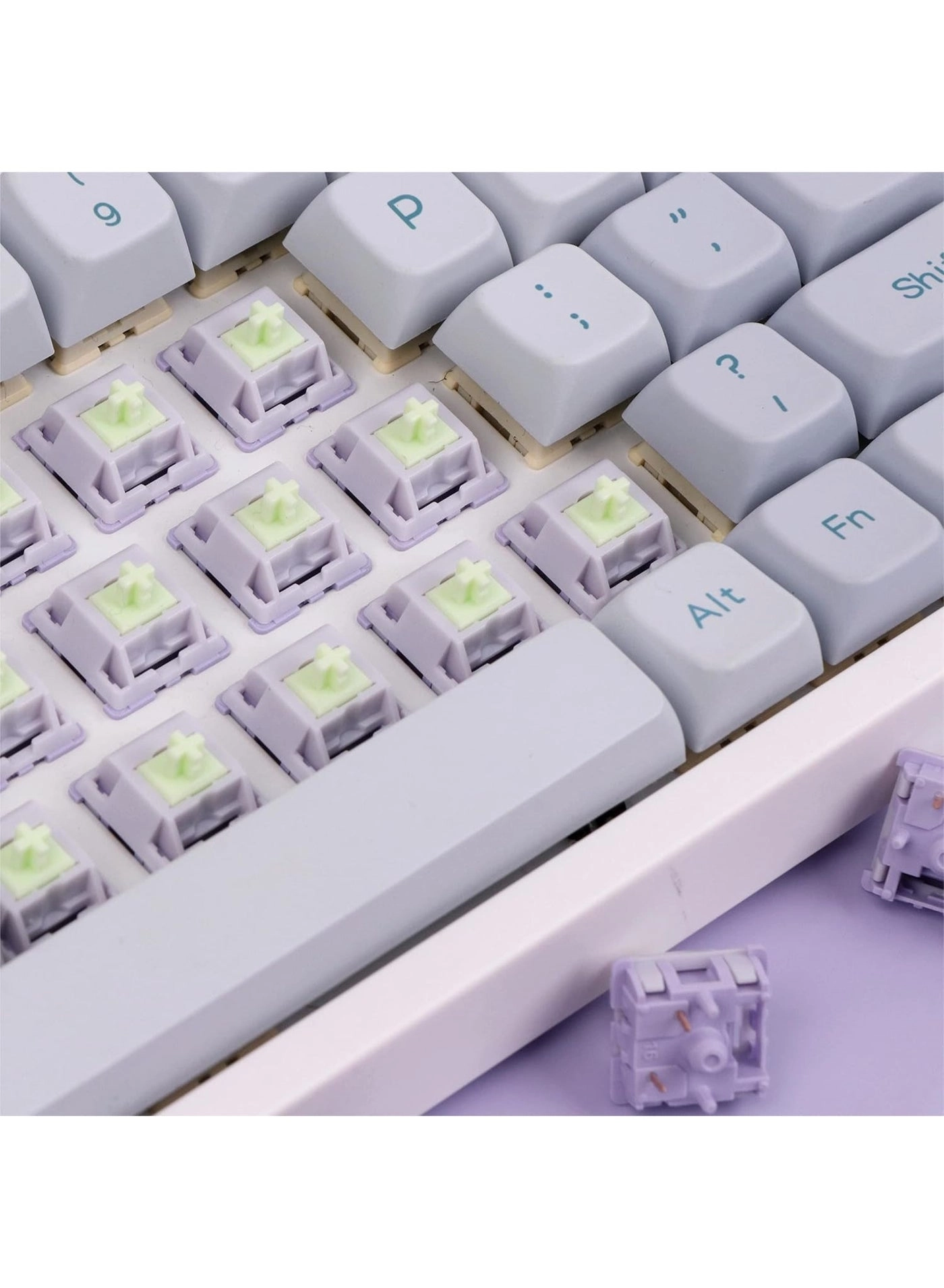 Wisteria - 30 Pieces