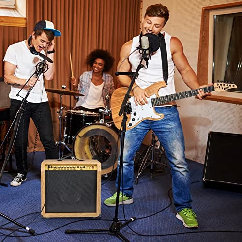 Electric Guitar Amplifier - 60W 10" 4-Ohm Speaker