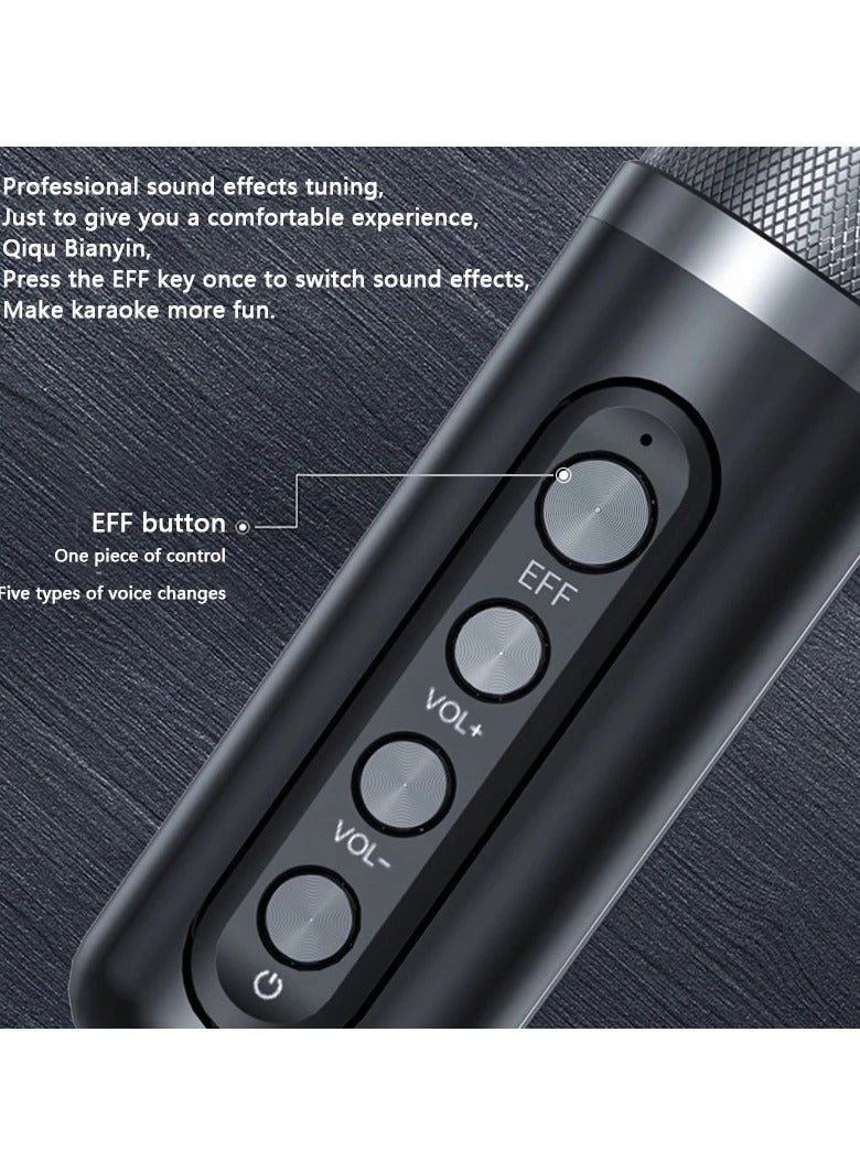 YS 224 - Dual Microphones