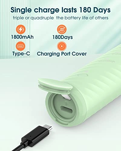 Y01 - 6 Brush Heads Type C 180 Days